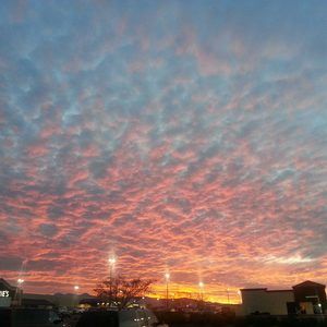 Meet your Posher, Sergio